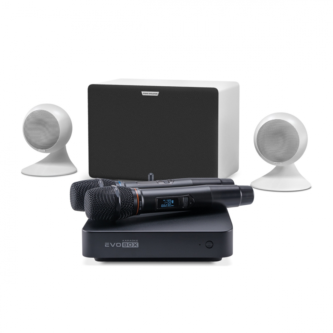 караоке-комплект EVOBOX Classic + EvoSound Sphere 2.1 в Клине