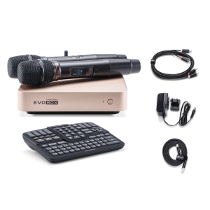 EVOBOX Classic караоке-система для дома в Клине