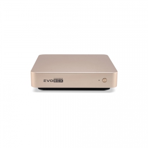 EVOBOX с микрофонами в Клине